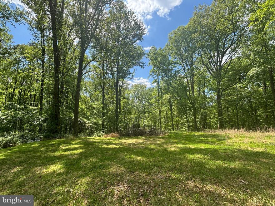 Five private, wooded acres — just minutes from Tysons, Dulles, and Washington, D.C. Tucked behind a canopy of mature hardwoods and wrapped in natural woodland, this extraordinary parcel offers a level of privacy and scale rarely available this close to the nation's capital. The land speaks for itself — expansive, wooded, and ready for vision — a blank canvas of rare proportion suited for a custom dream home, a signature build, or a legacy estate designed to stand the test of time. What sets this opportunity apart is the balance it strikes: quick access to Routes 267, 495, and 7 keeps Arlington, Fairfax, and the surrounding metro within easy reach, while the property itself retains the quiet privacy of deep woodland. Located within the Langley High School pyramid. Five wooded acres. Exceptional buildable potential. A truly singular opportunity for the builder or homeowner ready to design something extraordinary.