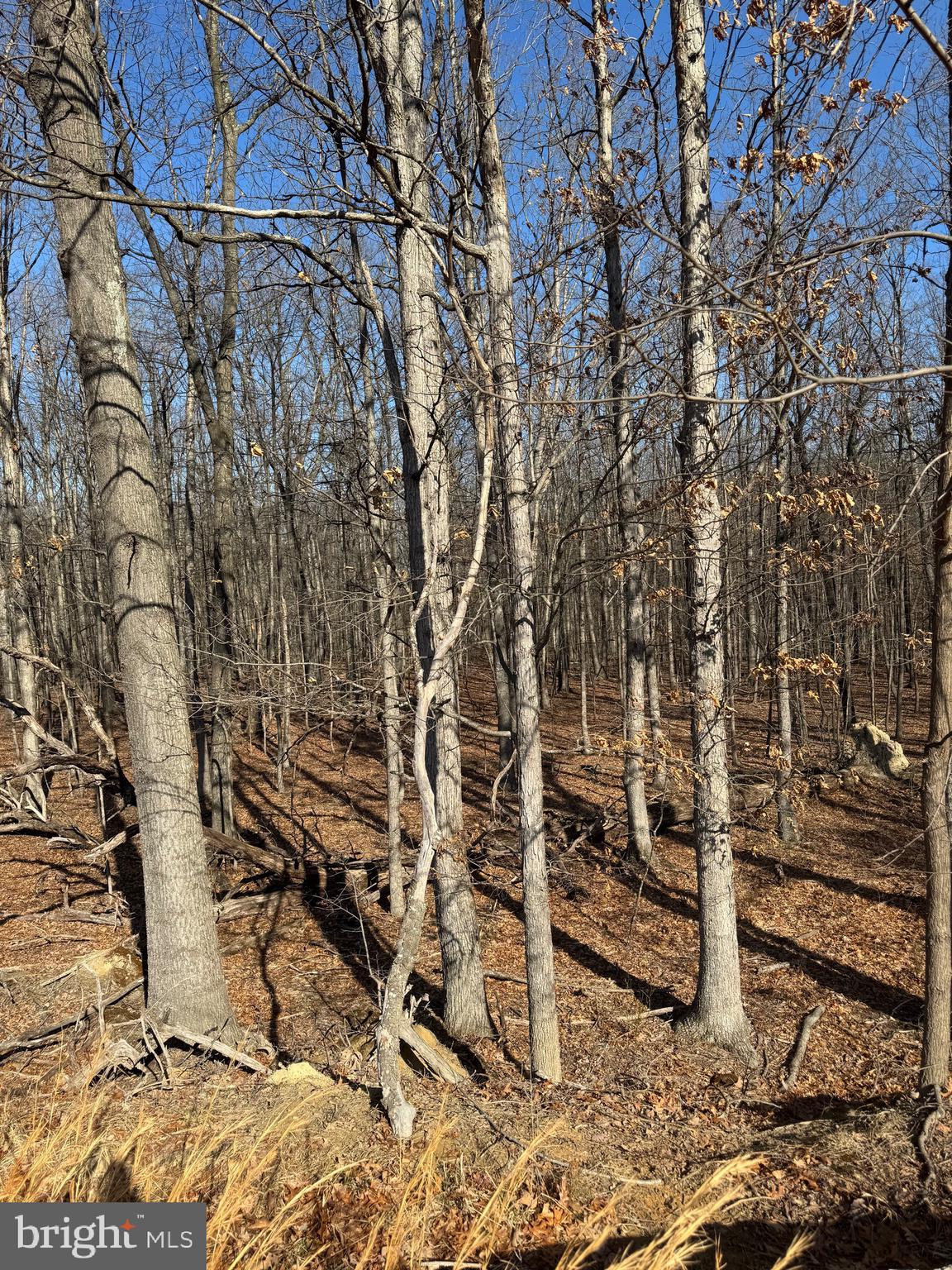 NO SUBDIVISION - Residential