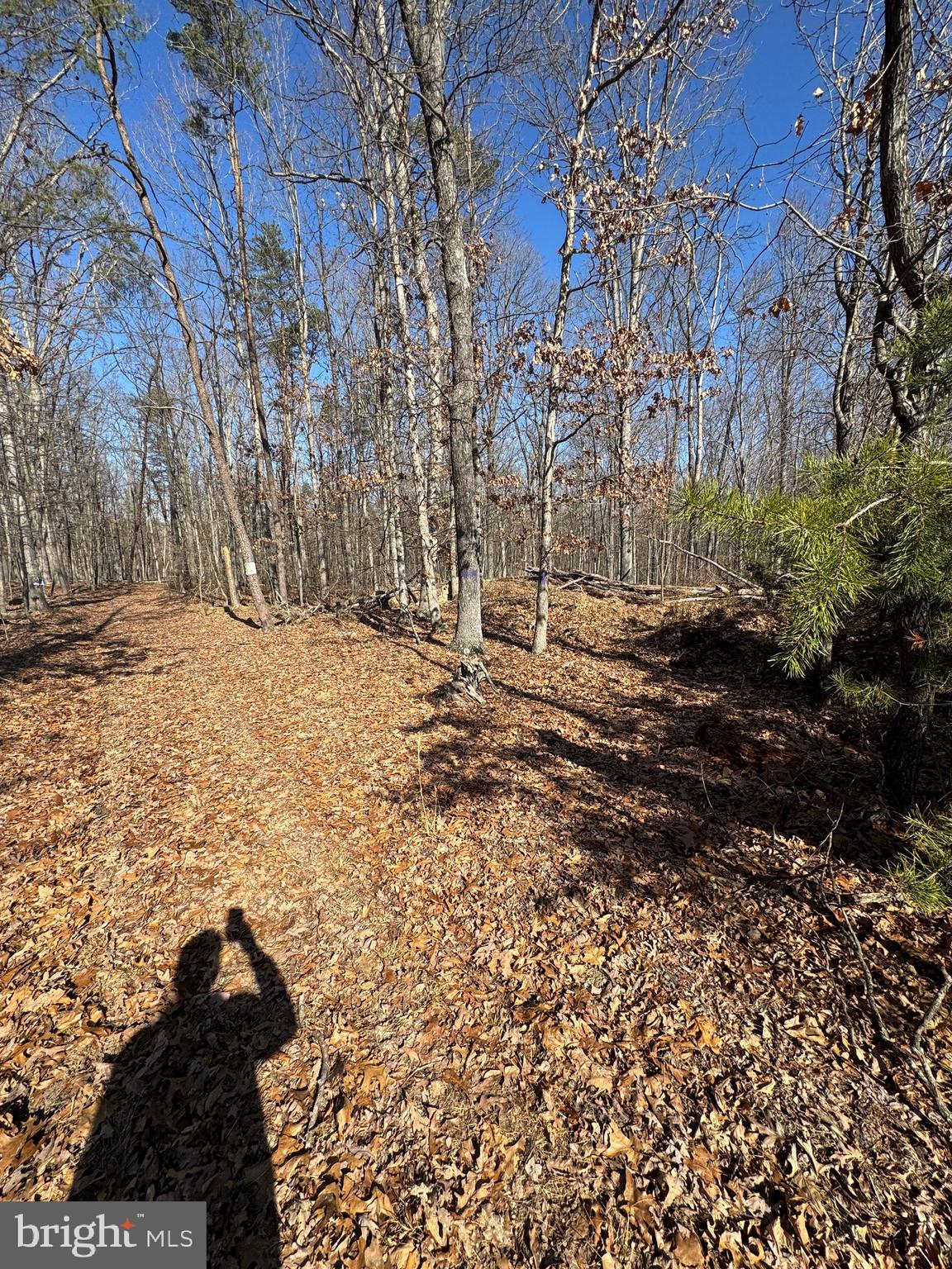 NO SUBDIVISION - Residential