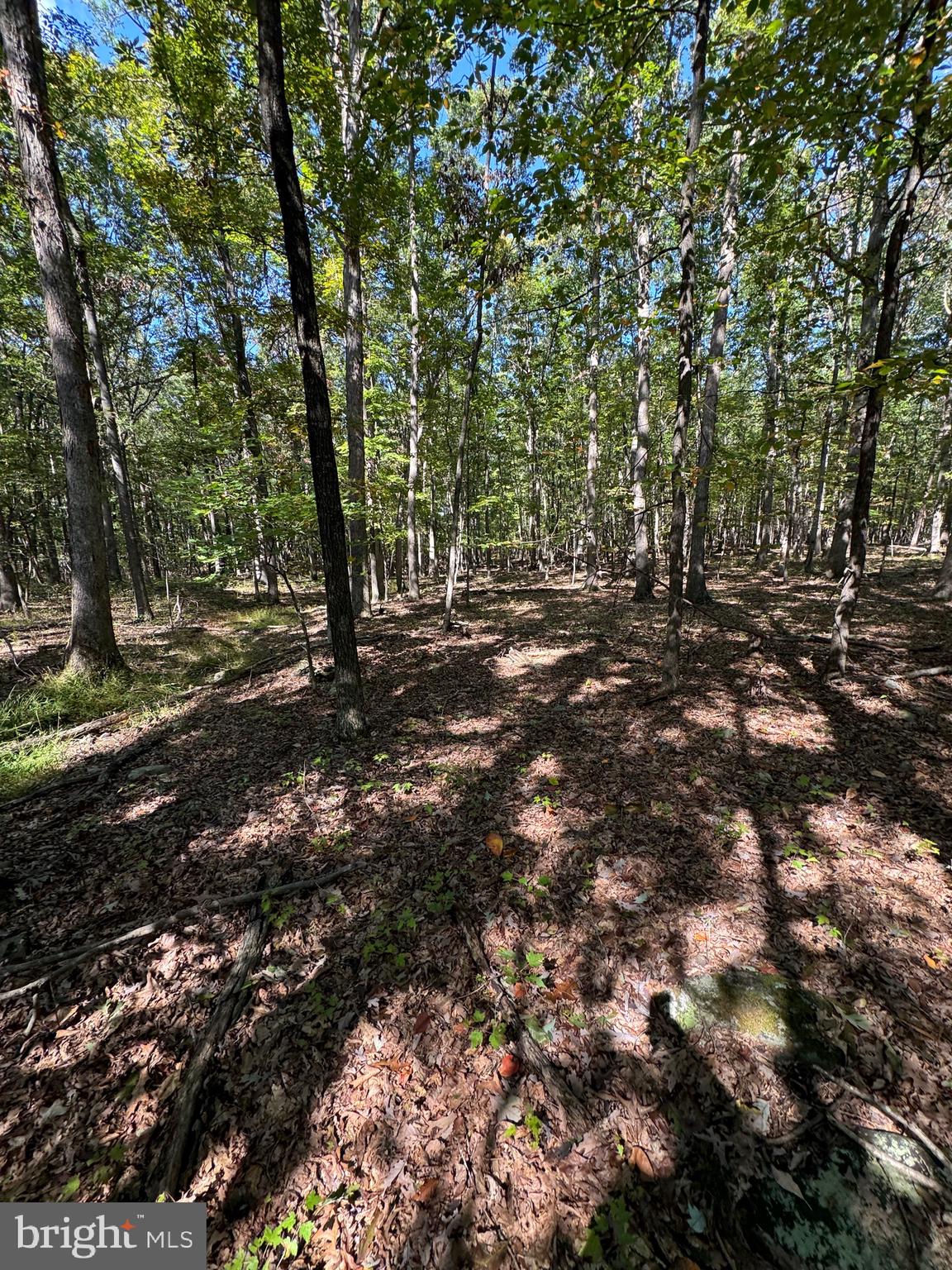 NO SUBDIVISION - Residential