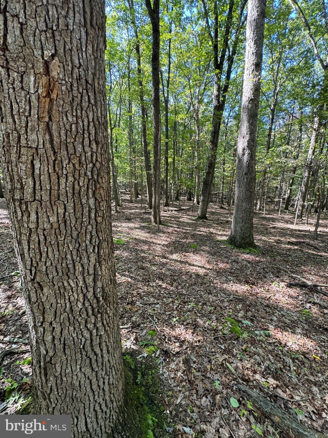 NO SUBDIVISION - Residential