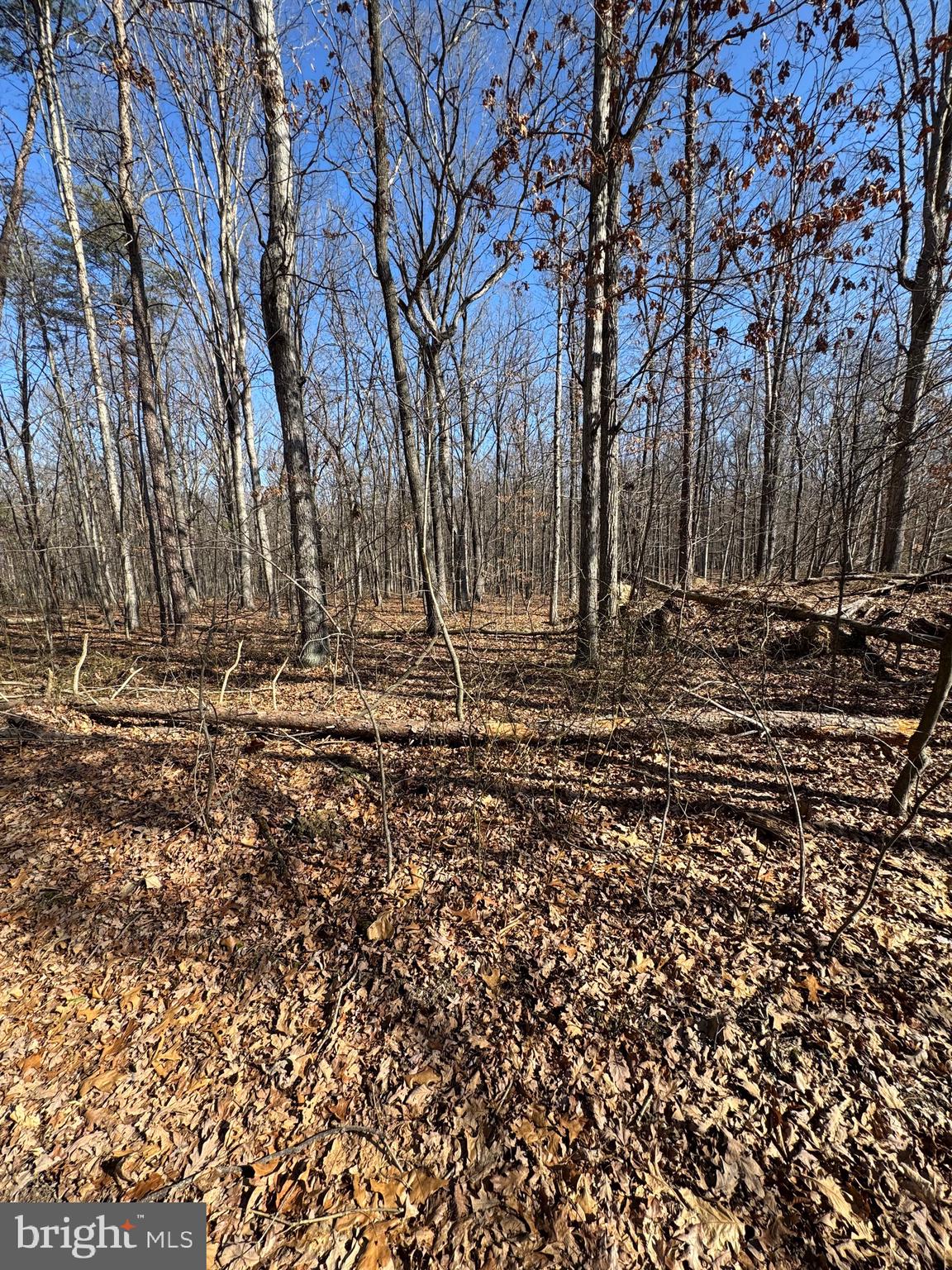 NO SUBDIVISION - Residential