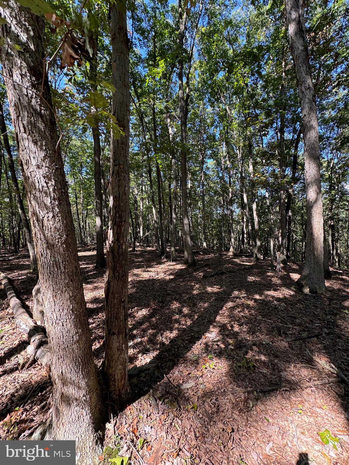 NO SUBDIVISION - Residential