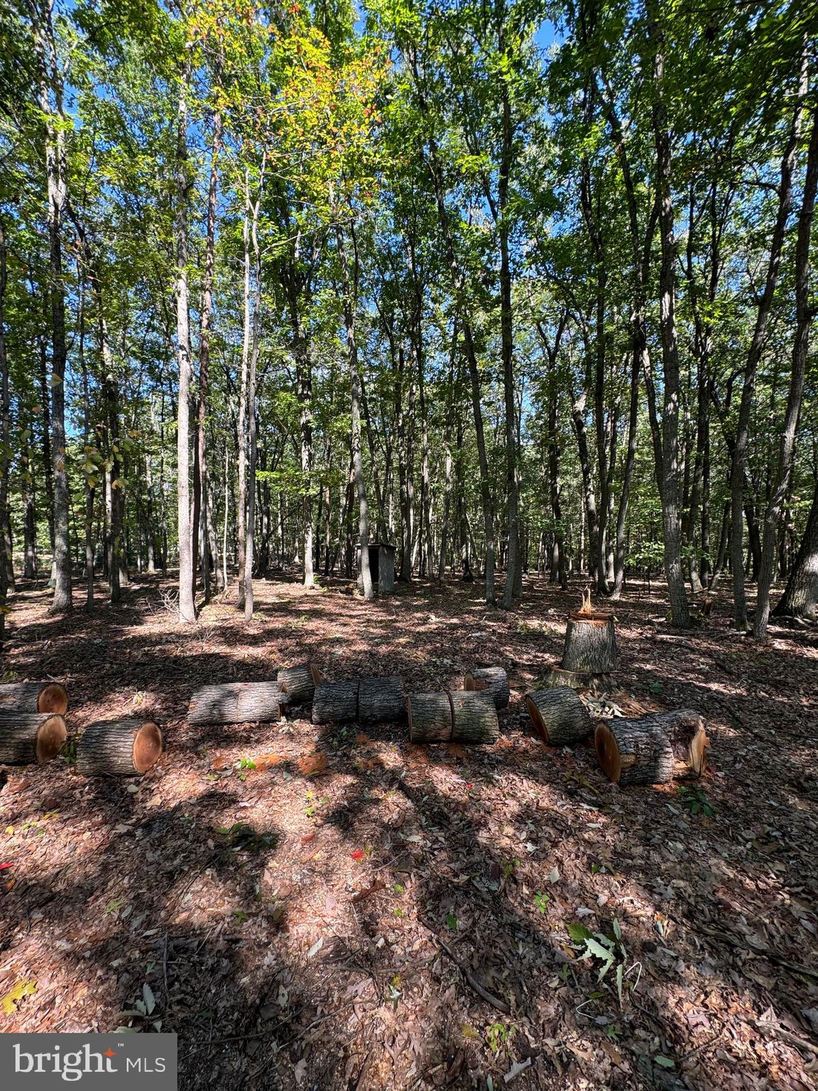 NO SUBDIVISION - Residential