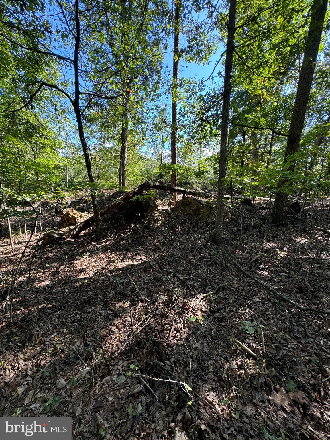 NO SUBDIVISION - Residential