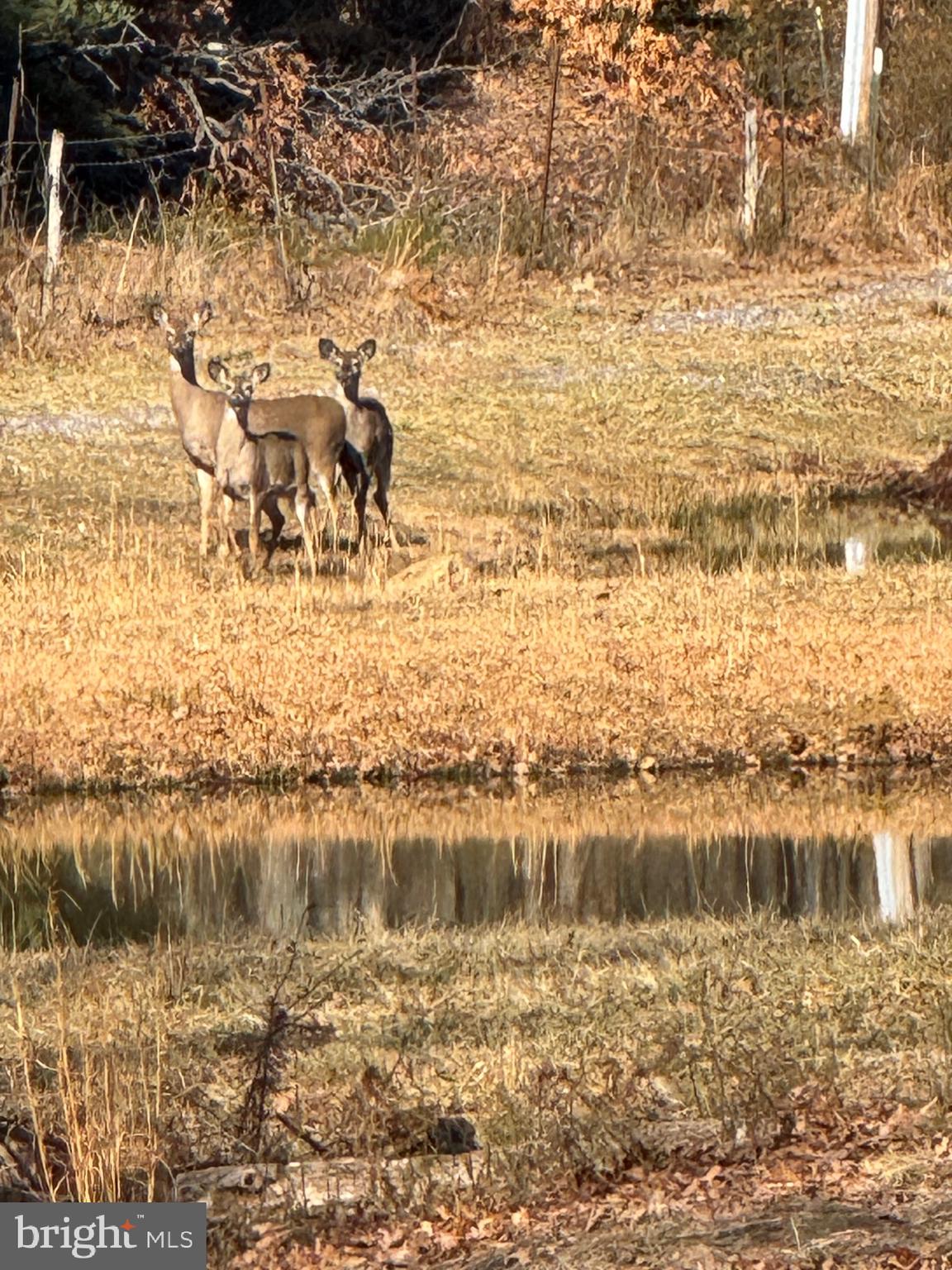 NO SUBDIVISION - Residential