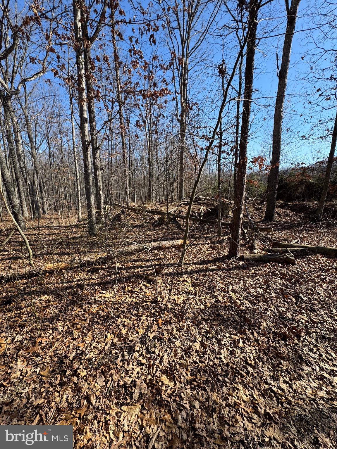 NO SUBDIVISION - Residential