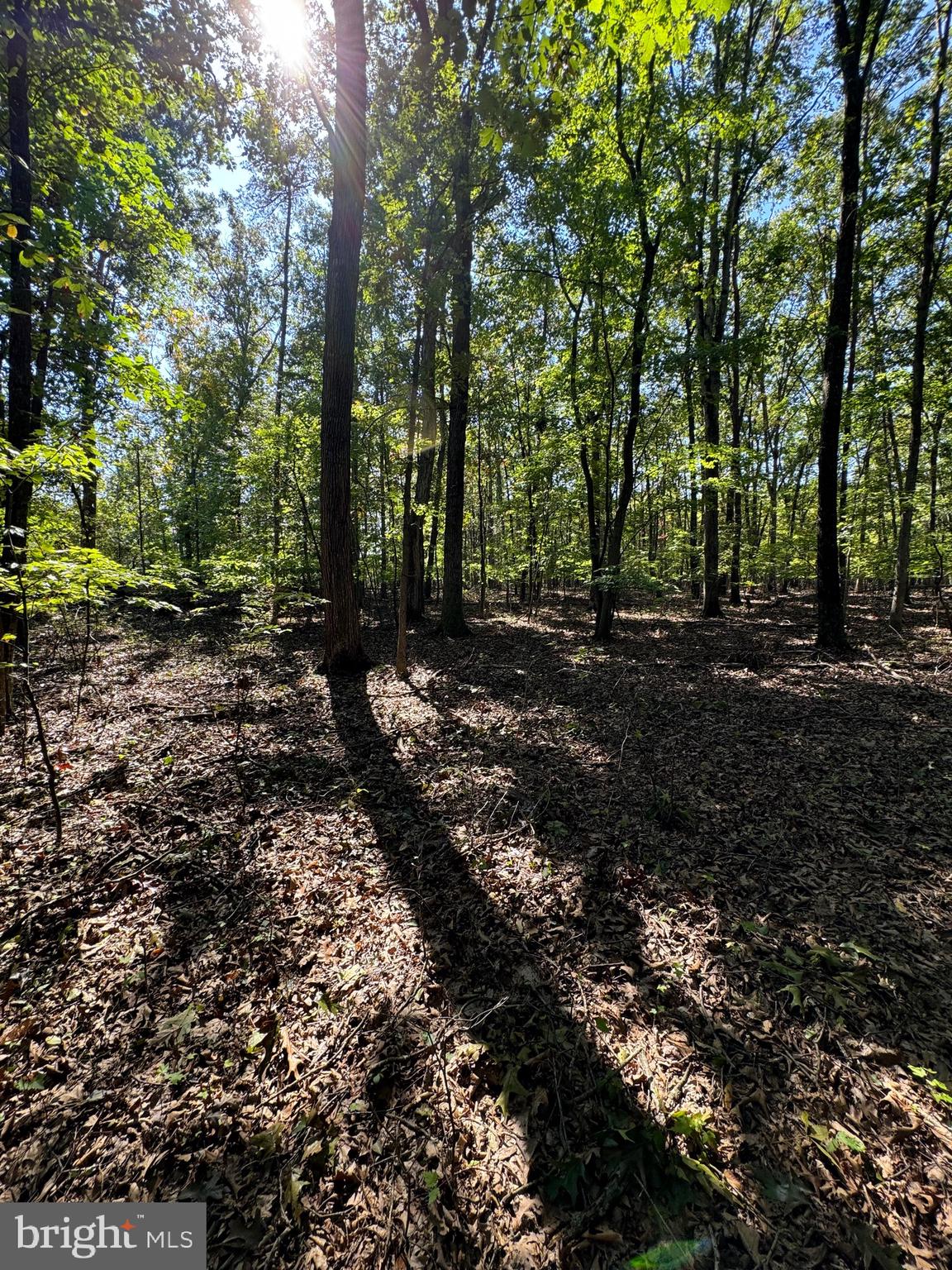 NO SUBDIVISION - Residential