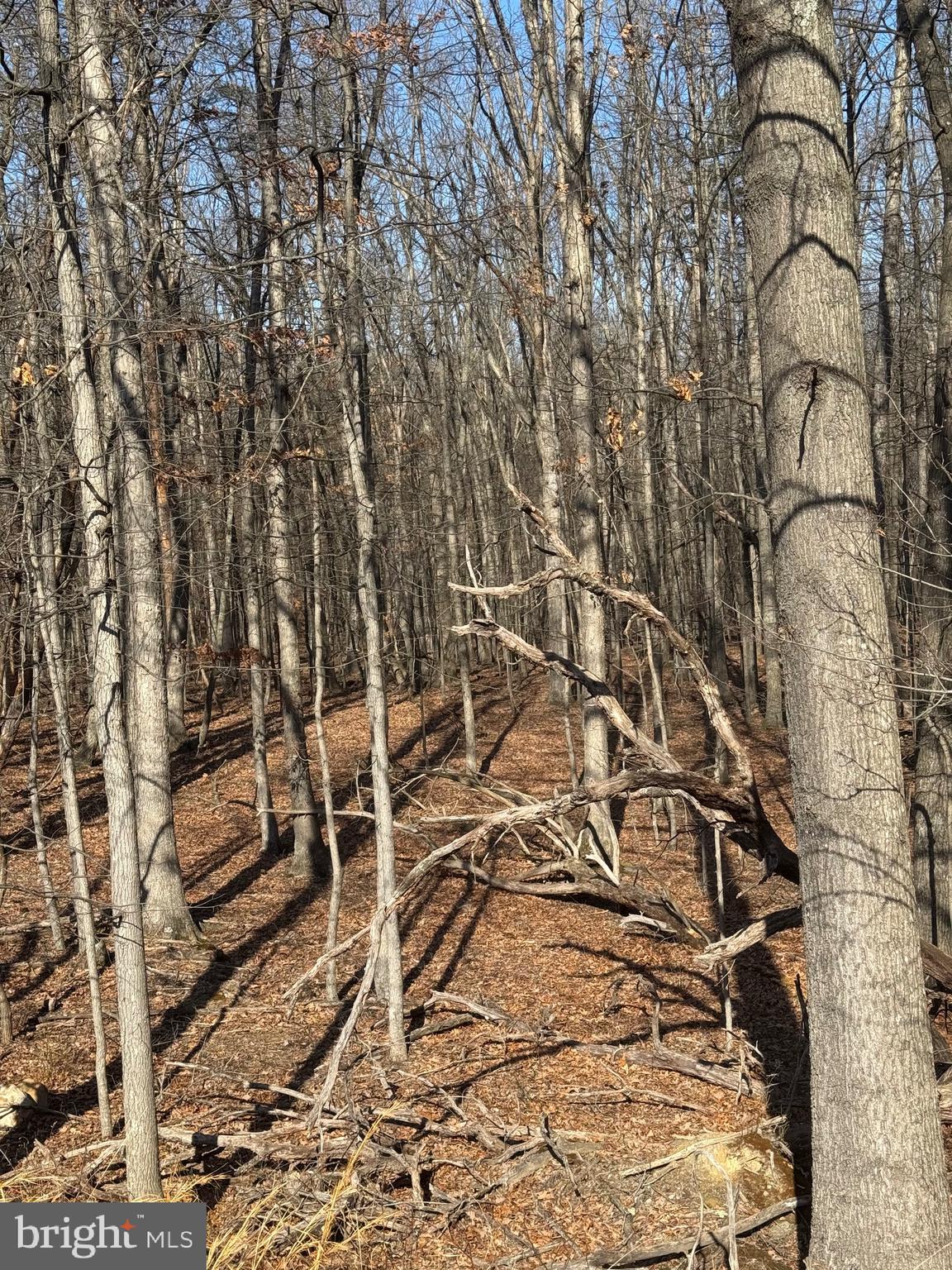 NO SUBDIVISION - Residential