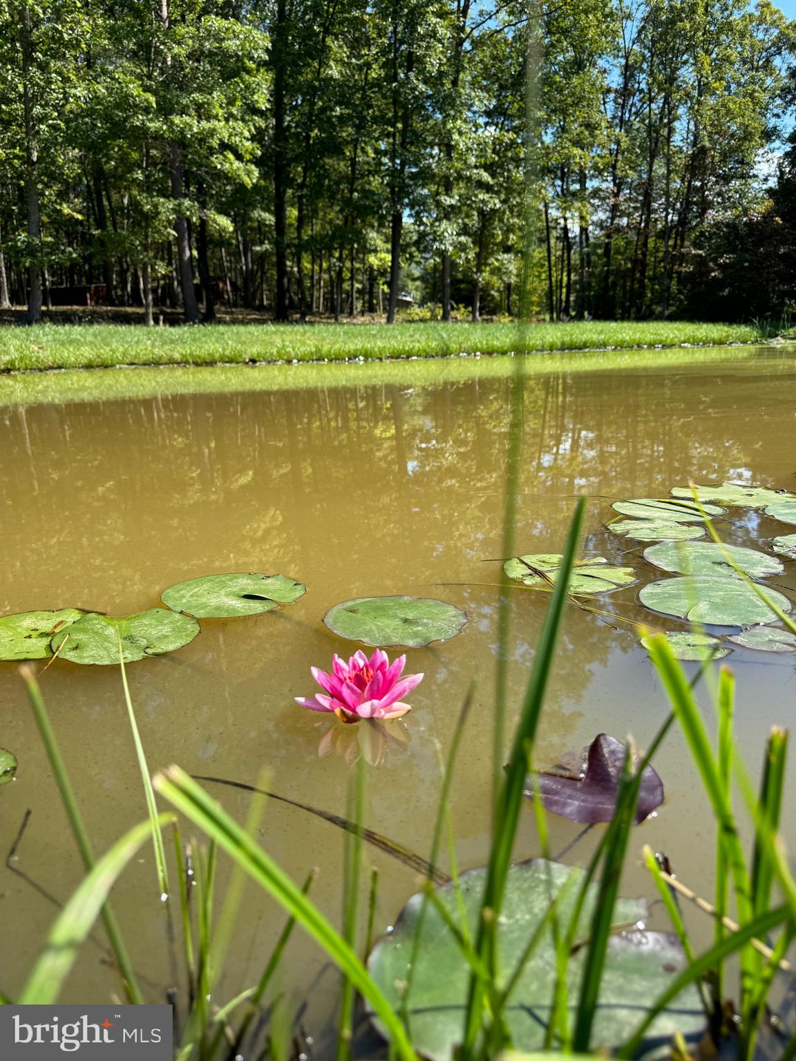 NO SUBDIVISION - Residential