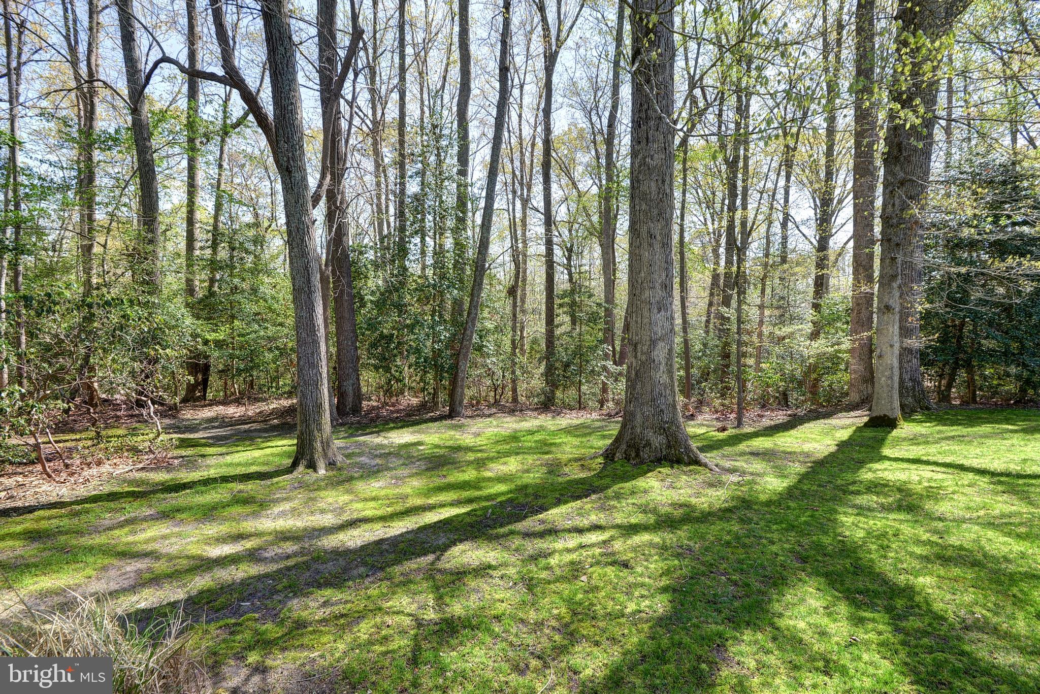 STONEHOUSE - Residential