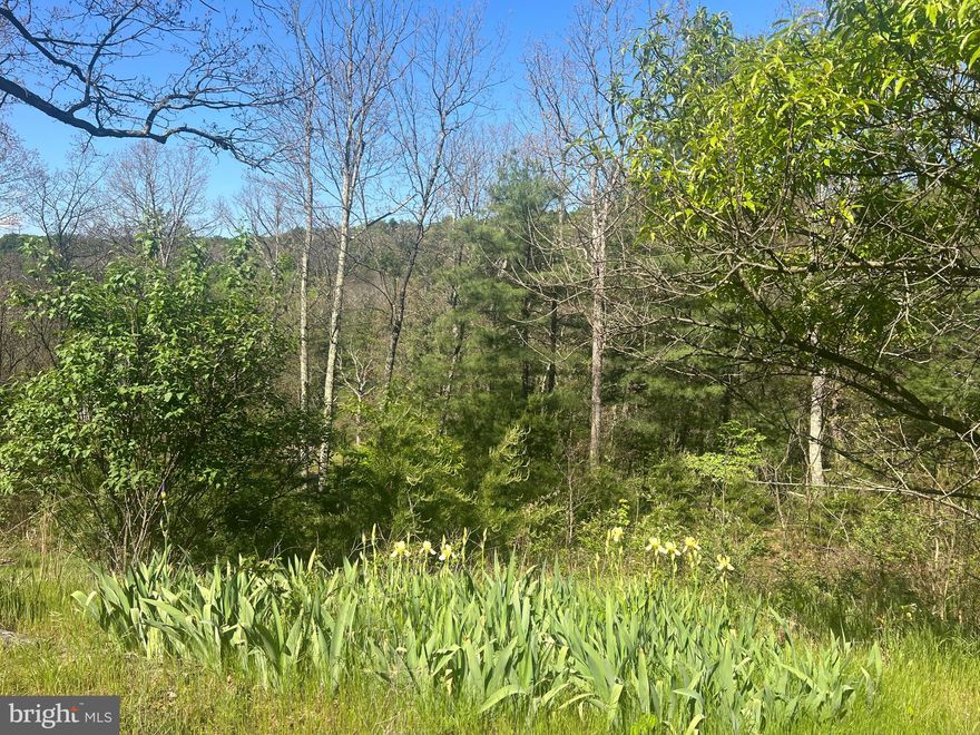 Discover the potential of this beautiful 2+/- acre property with frontage on state-maintained Winchester Grade Rd, just a few miles from downtown Berkeley Springs and its charming local shops, restaurants, spas, and Berkeley Springs State Park. Featuring an existing well and septic, and electric available, this lot is ready for your future home plans. A trailer currently sits on the property and is considered of no value and not habitable. Once removed, the property offers a cleared build site with beautiful mountain views in a peaceful wooded setting — the perfect backdrop for your future home or getaway retreat. Please note: The property address is 73 Mullen Ln; however, there is a driveway off of Winchester Grade Rd that is not accessible. Property is being sold as-is.