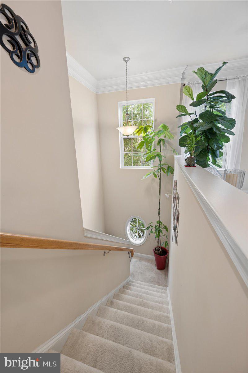316 PARK AVENUE 6-316