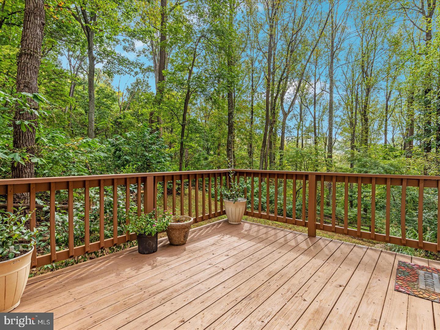 175 SCARLET TANAGER LANE