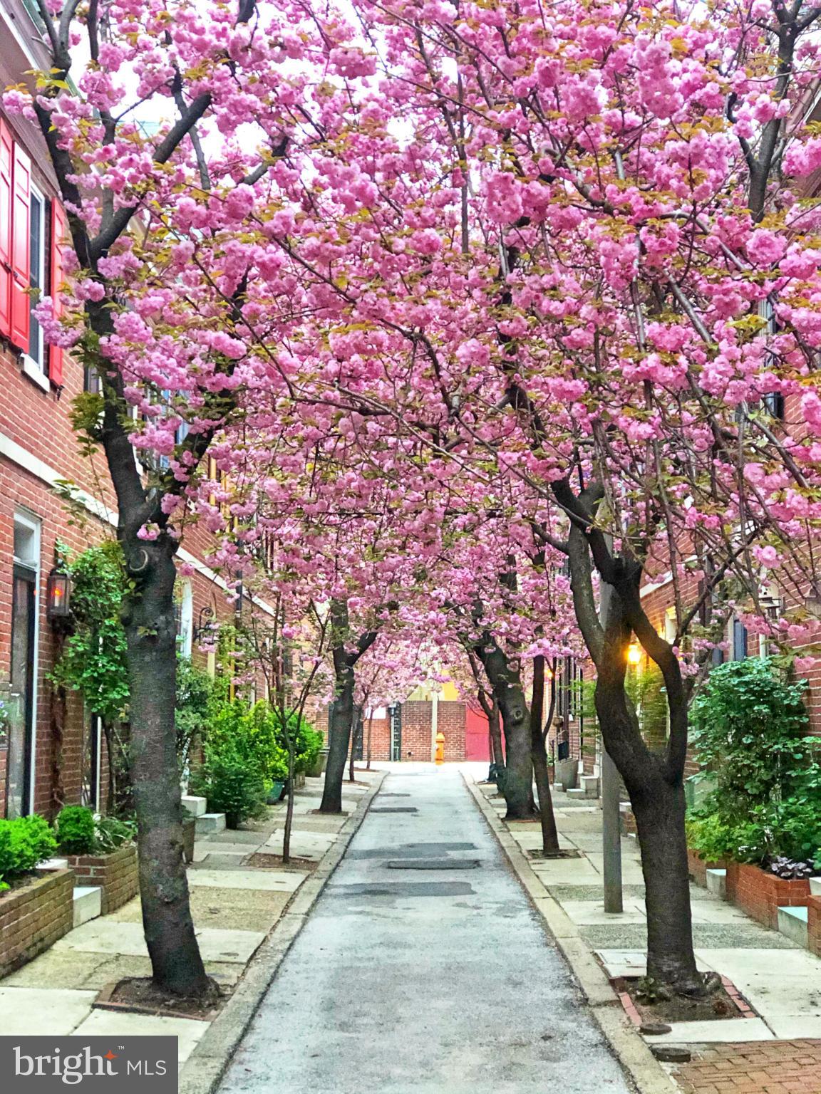WASHINGTON SQ WEST - Residential
