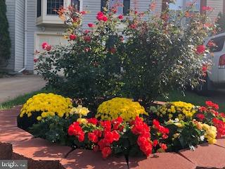 WELLINGTON/CLOVERHILL - Residential