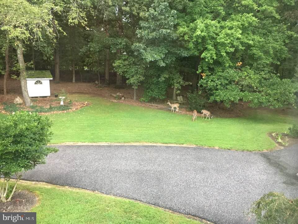 JOPPATOWNE - Residential