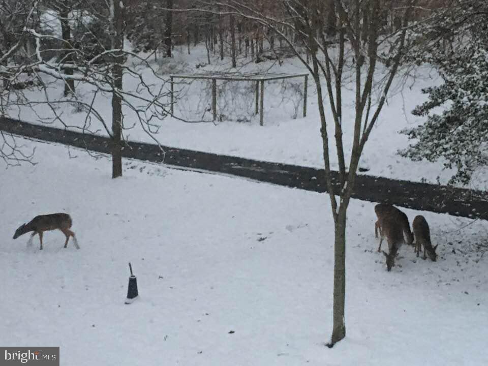 JOPPATOWNE - Residential