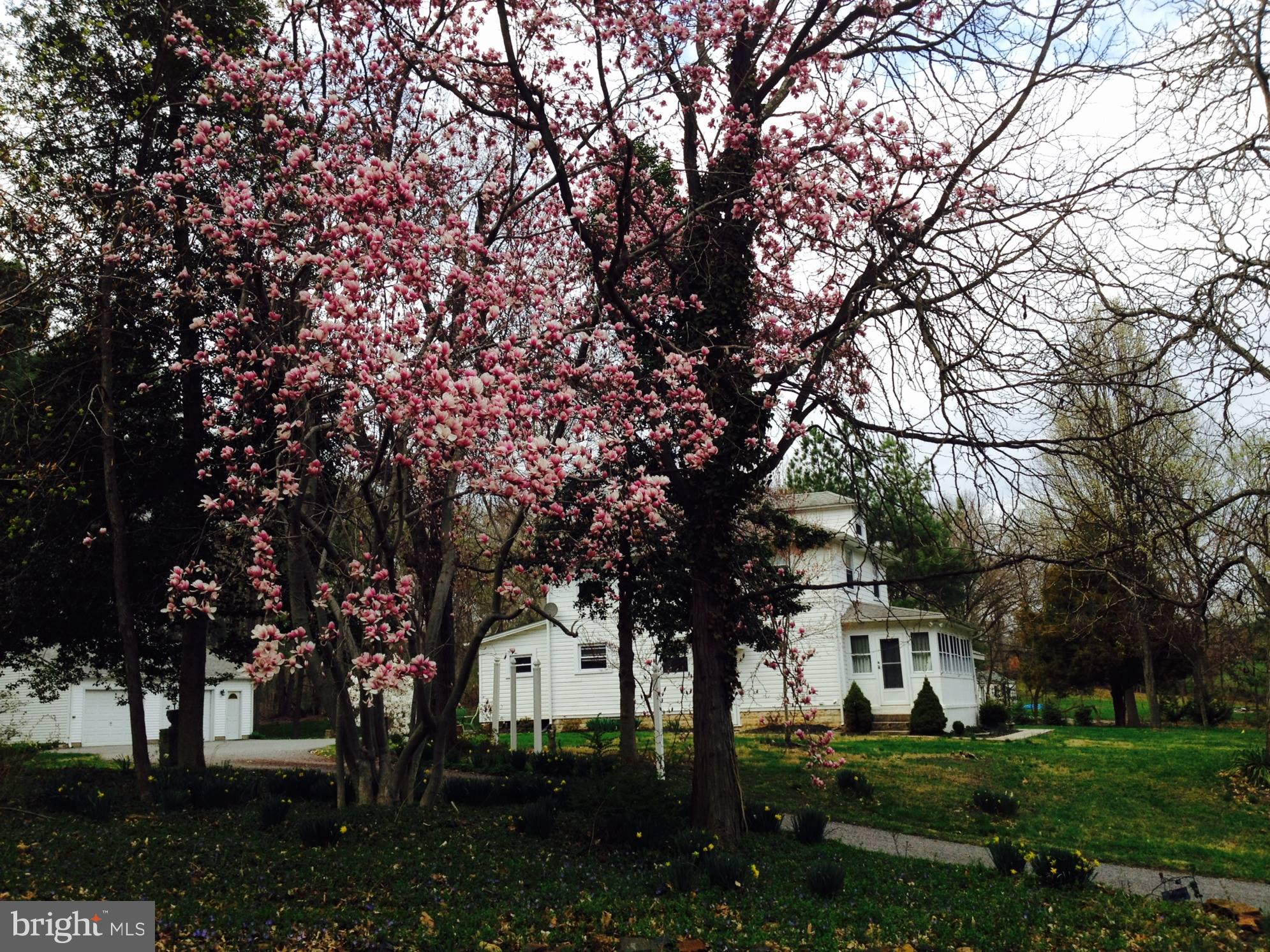 JOPPATOWNE - Residential