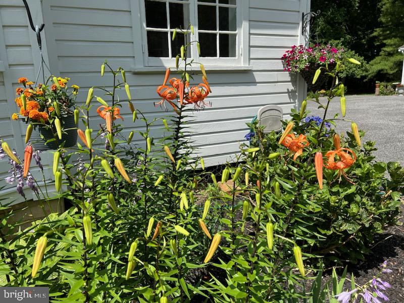 JOPPATOWNE - Residential