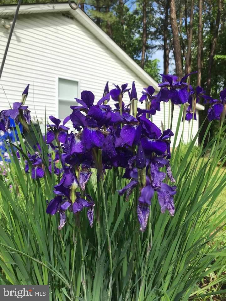 JOPPATOWNE - Residential