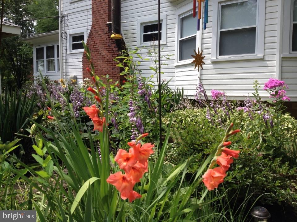 JOPPATOWNE - Residential