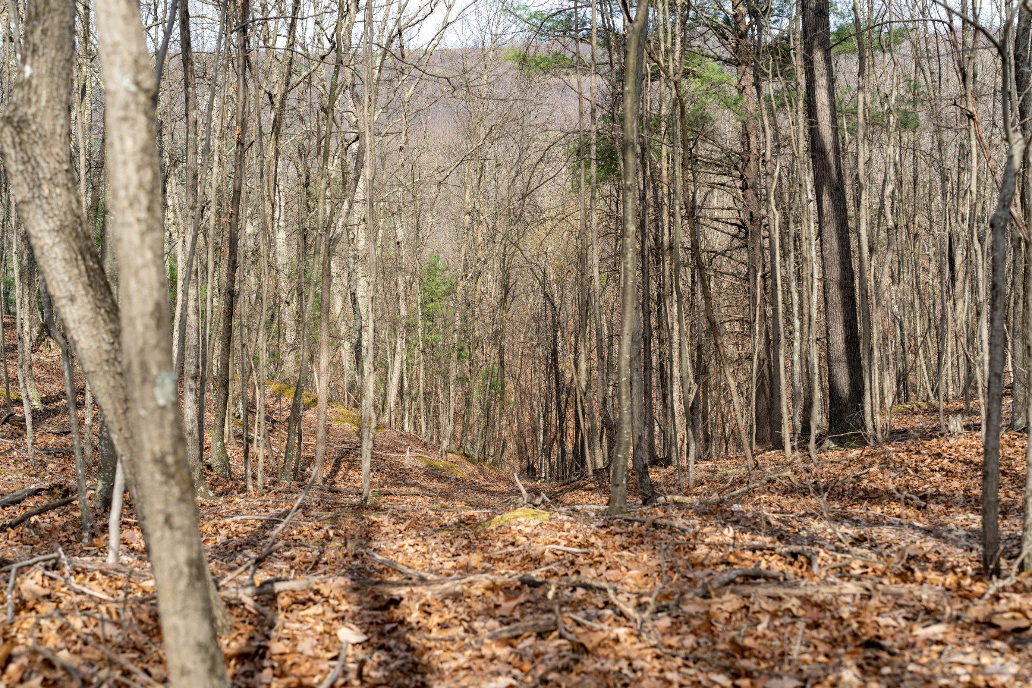 WALNUT RIDGE ROAD SE