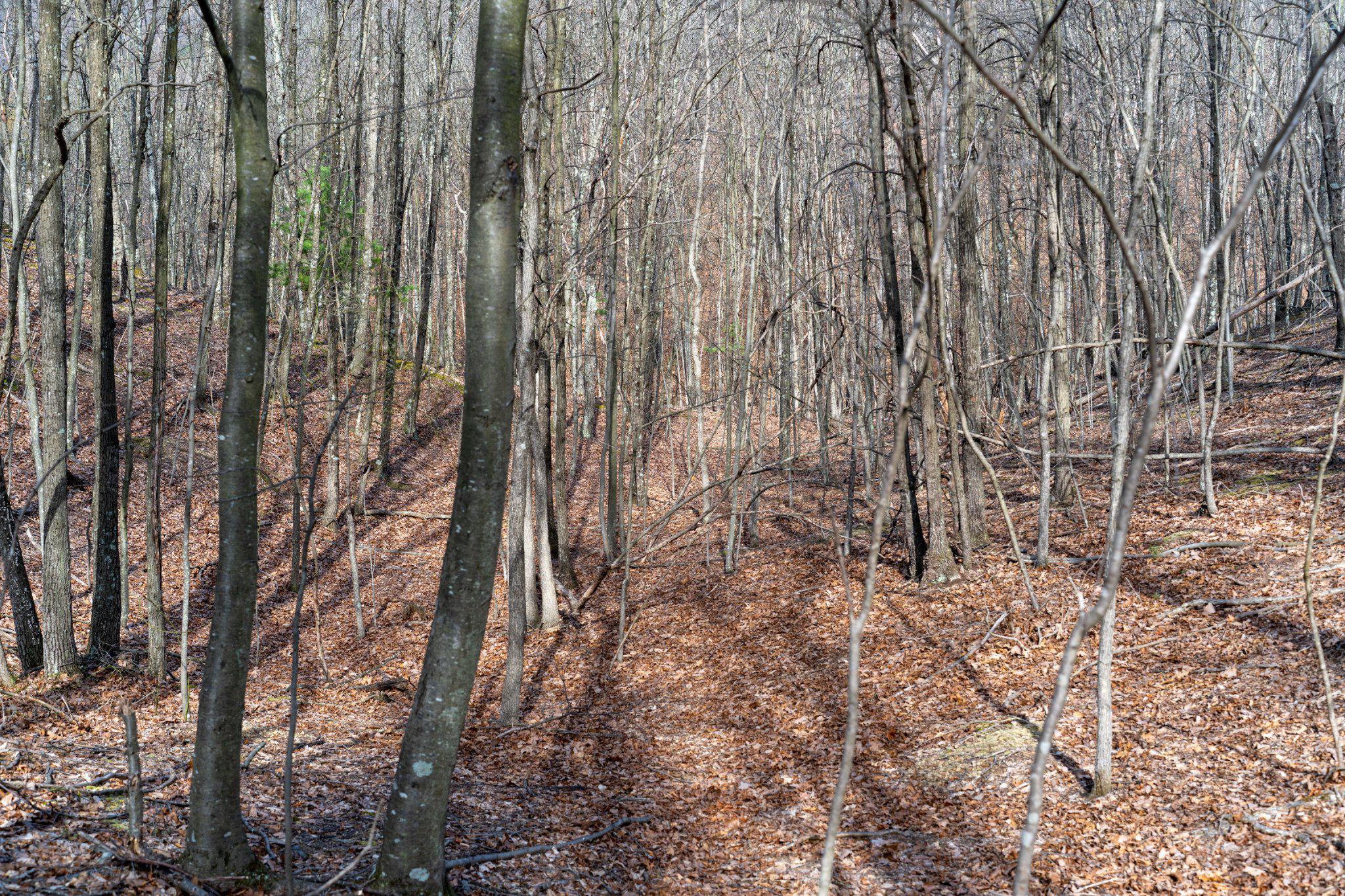 WALNUT RIDGE ROAD SE