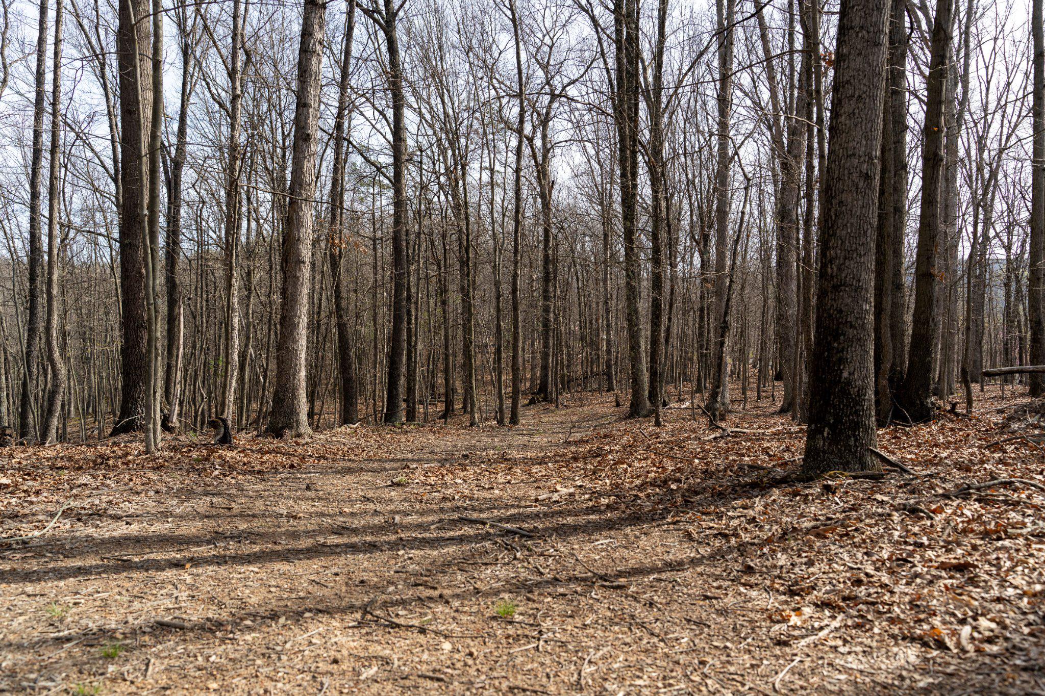 WALNUT RIDGE ROAD SE