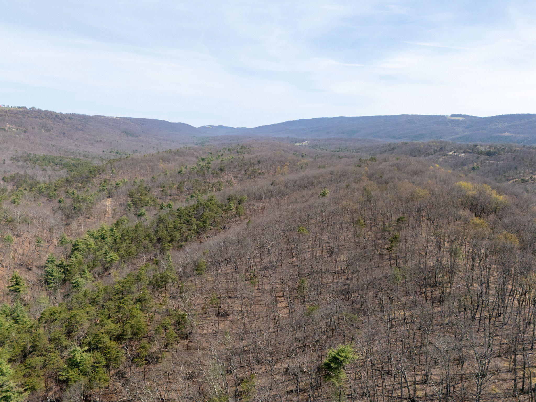 WALNUT RIDGE ROAD SE