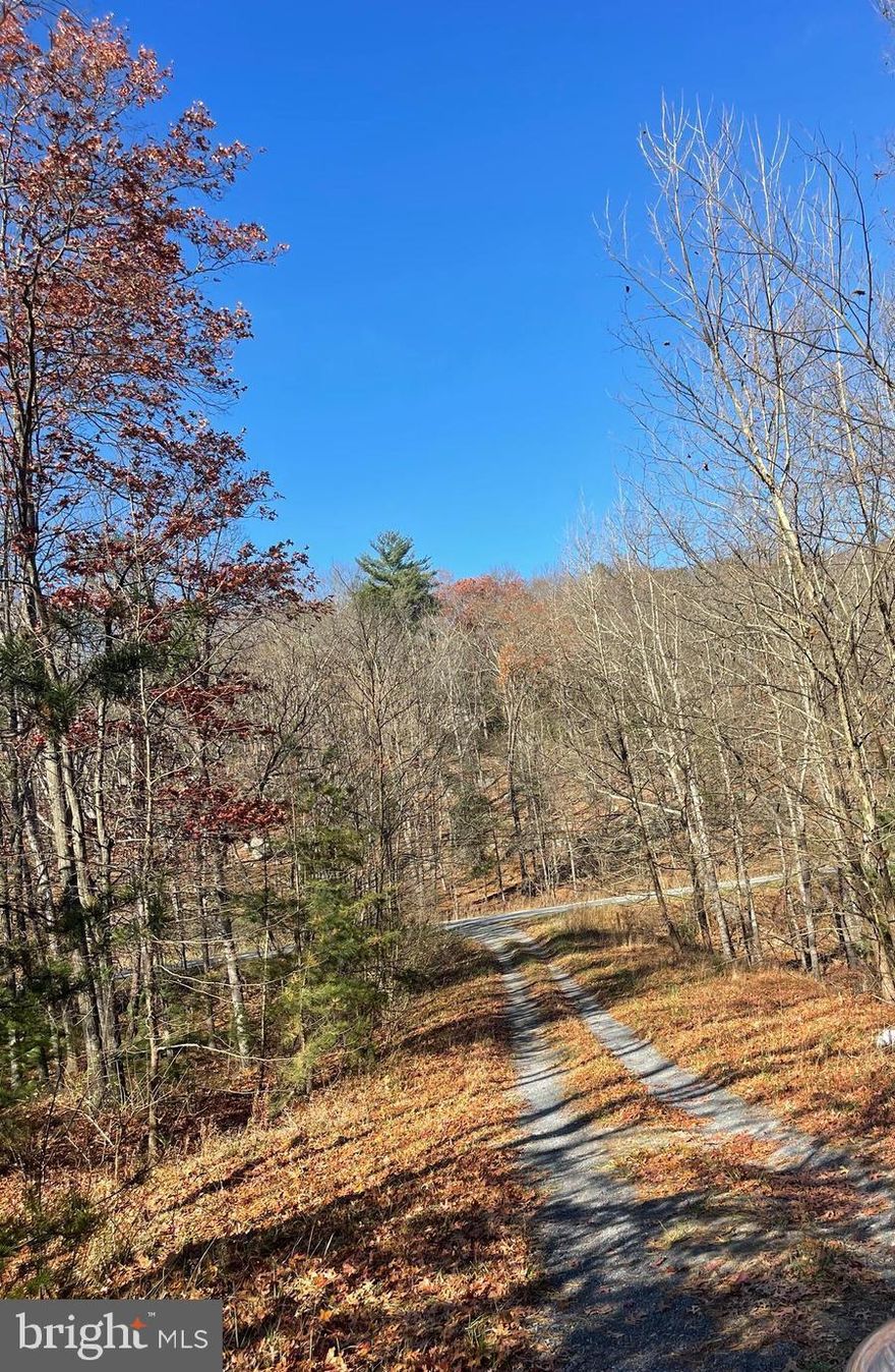 Discover the perfect blend of privacy, convenience, and natural beauty in the Arielle View Subdivision. Located just five minutes outside of Wardensville and close to the Virginia state line, these seven wooded lots offer an ideal setting for a full-time home, mountain getaway, or investment opportunity.
Buy individually or combine multiple lots. Four lots are completely flat (8 acres total) — easy to build on in this wooded, private, and rural setting. There is a cul-de-sac at the end of Hannah Court where you access some of the lots.  Situated off Rt. 259, these lots offer excellent road access and a peaceful mountain atmosphere. Whether you're looking for a secluded homestead or multiple parcels for extended family or investment, this tranquil location delivers convenience without sacrificing privacy.  Perfect for residential builds, vacation homes or Airbnb potential, investment or land banking, Outdoor enthusiasts seeking privacy near town.
Seven lots available: Lots 4, 5, 18, 19, 20, 21, and 22.
2 acres each — 14 acres total.
Each lot is $30,000 per 2 acre parcel.