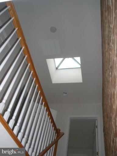 PIGTOWN - Residential