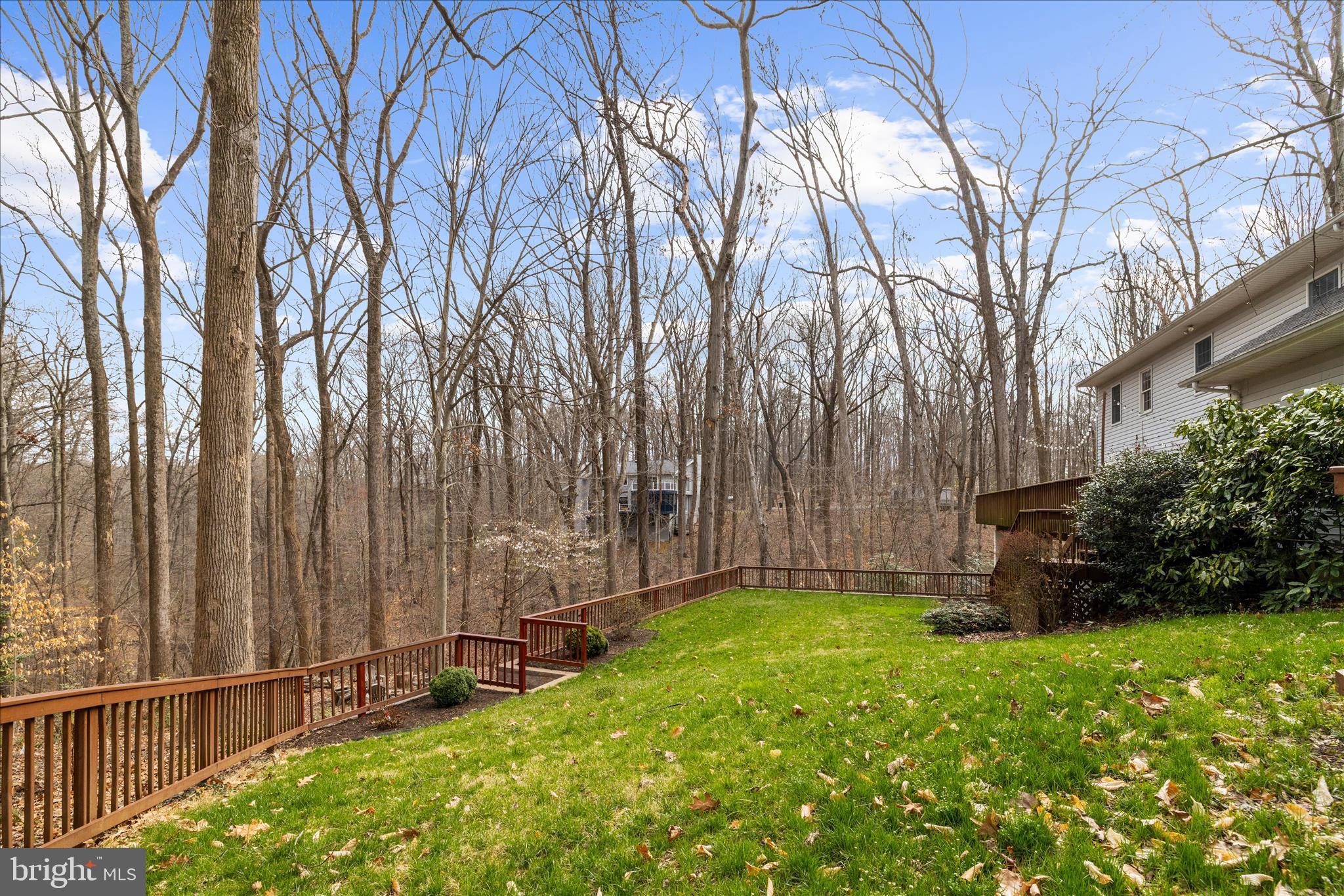 THE WOODS - Residential