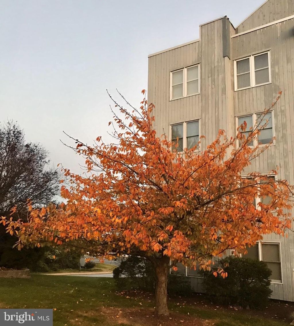 Photo of 5219 Le Parc Drive #2, WILMINGTON, DE 19809 (MLS # DENC2092446)