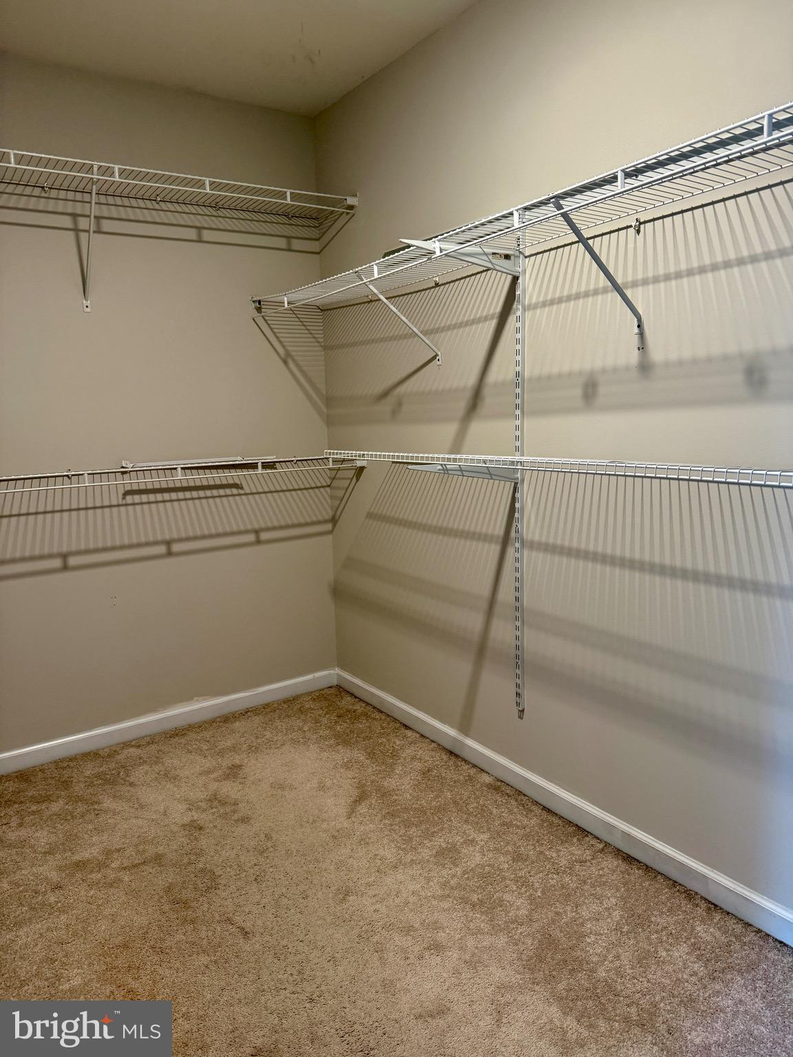 MORTON - Residential Lease