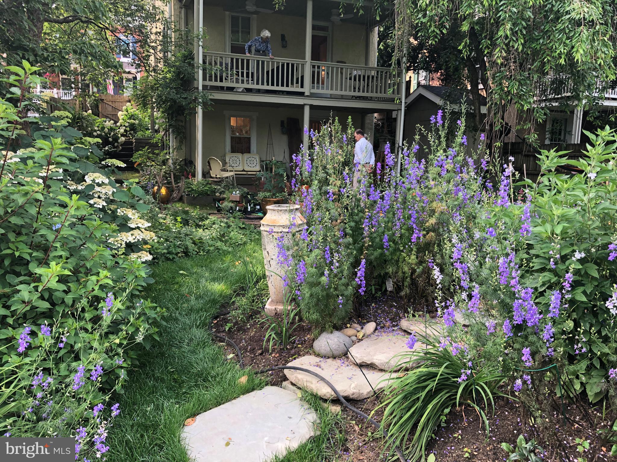 CHESTNUT HILL - Residential