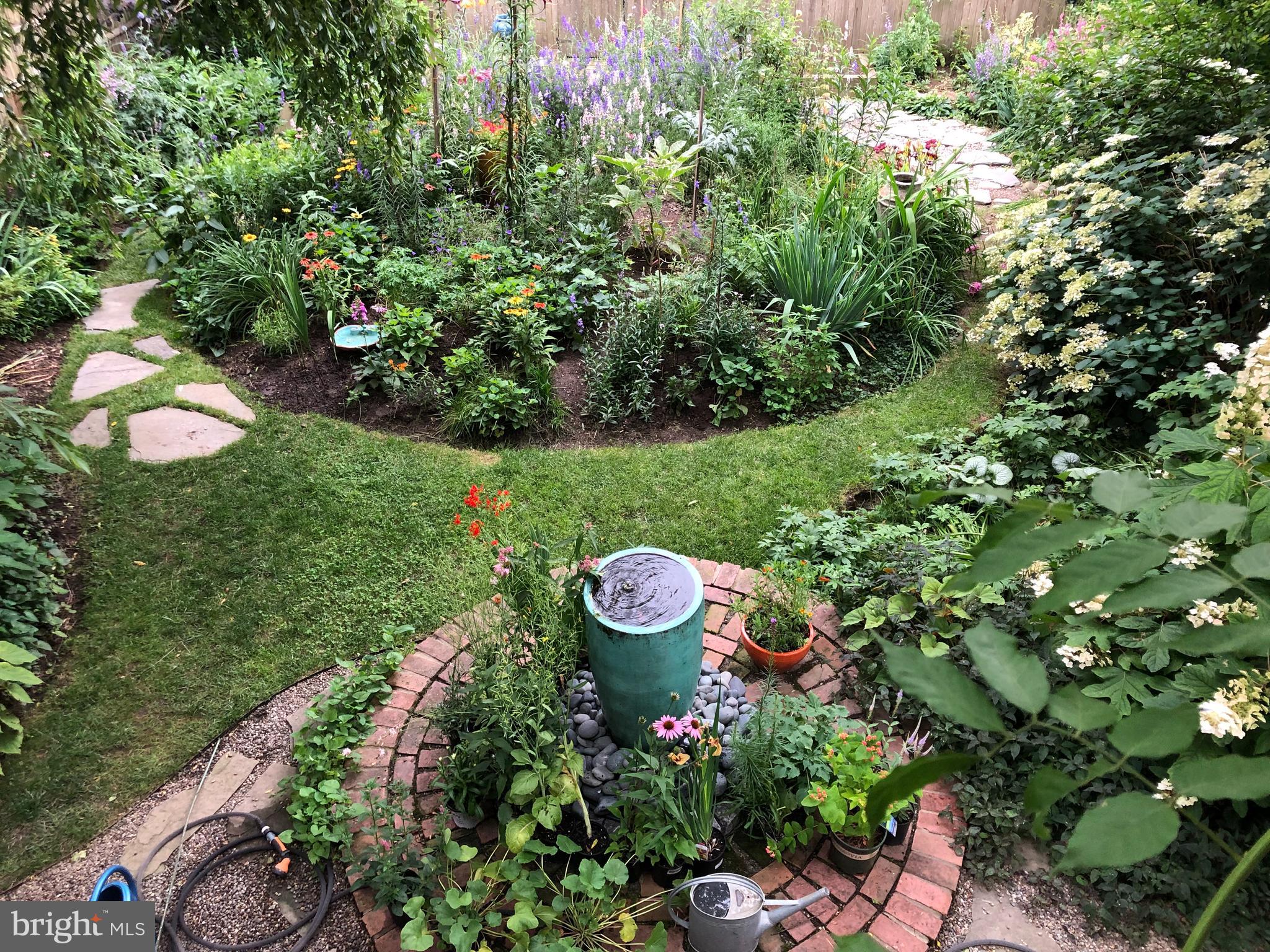 CHESTNUT HILL - Residential