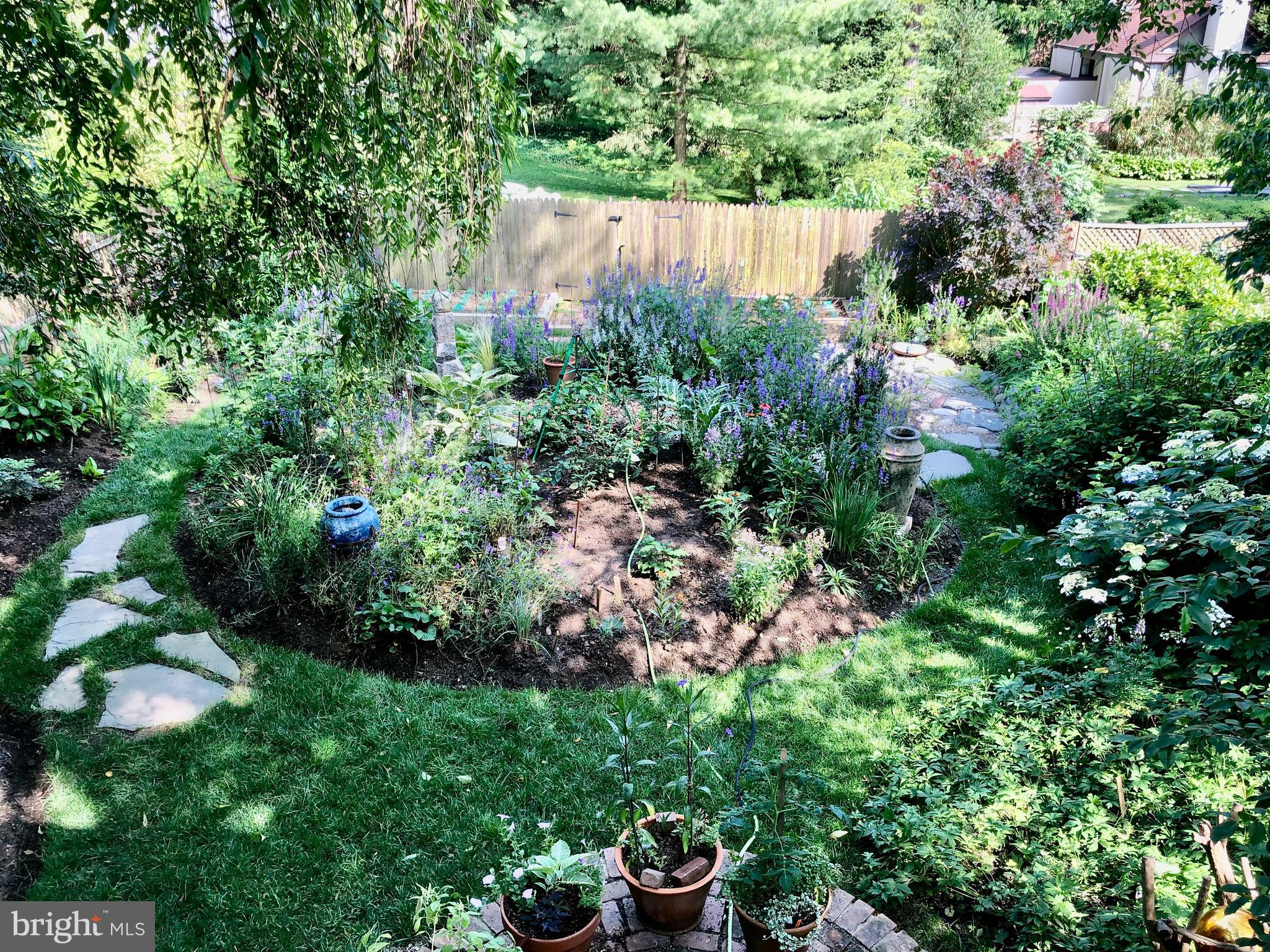 CHESTNUT HILL - Residential