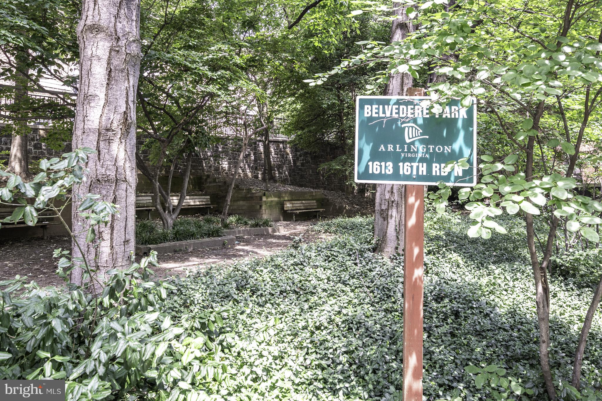 BELVEDERE CONDOMINIUM - Residential