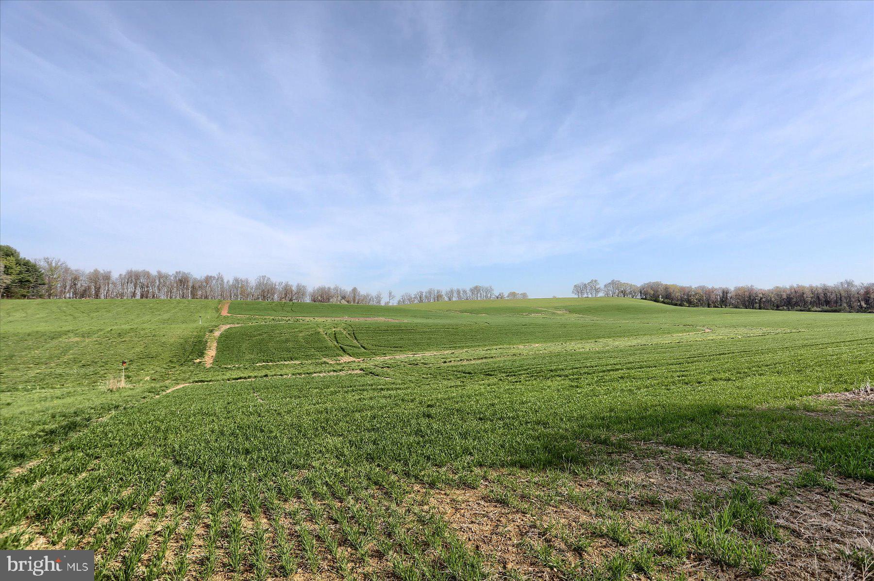 Nestled in the heart of Central Pennsylvania’s beautiful countryside, this breathtaking 10-acre parcel at 219 Earlys Mill Road is a true gem—an exclusive opportunity for the discerning buyer who values privacy, natural beauty, and convenience.
Located within the prestigious Lower Dauphin School District, this remarkable property offers an ideal balance of open, buildable land and serene wooded acreage, providing both pastoral views and the sense of seclusion that only mature trees can offer. Whether you envision a custom-built estate or a peaceful retreat, this land sets the stage for something extraordinary.
Much of the heavy lifting has already been done—a well has been drilled, a successful perc test has been performed, and key due diligence has been completed, streamlining your building journey from the very beginning. The land also qualifies for Clean & Green, offering significant tax savings for years to come.
Properties of this caliber, with such a prime location and readiness for development, are incredibly rare and seldom become available. Only minutes from Hershey and a short drive to Harrisburg, the property offers a lifestyle that feels worlds away—yet remains convenient to every modern amenity.
Experience the luxury of space, the beauty of nature, and the unmatched potential of this exclusive offering. 219 Earlys Mill Rd is more than a parcel of land—it’s a canvas for your legacy. Reach out today for more information!