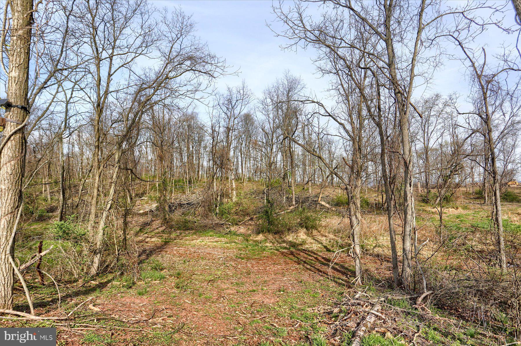 219 EARLYS MILL ROAD