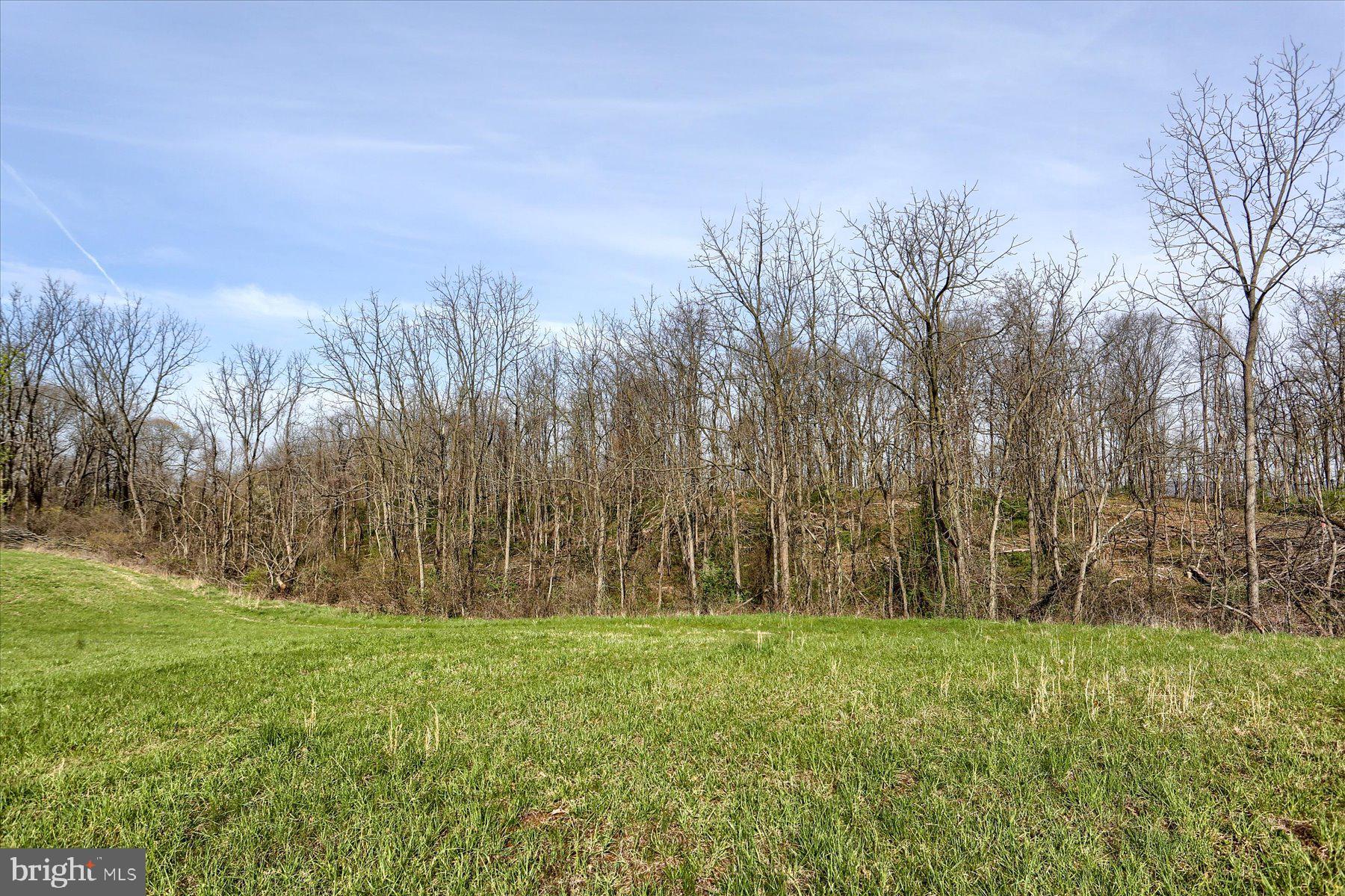 219 EARLYS MILL ROAD