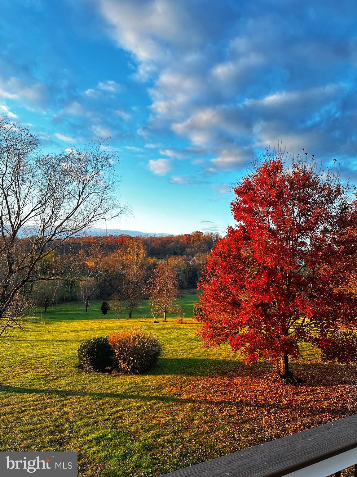 SHENSTONE - Residential