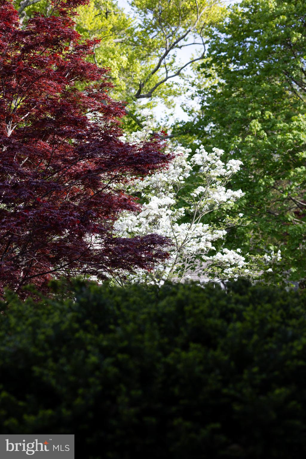 MOUNT WASHINGTON - Residential