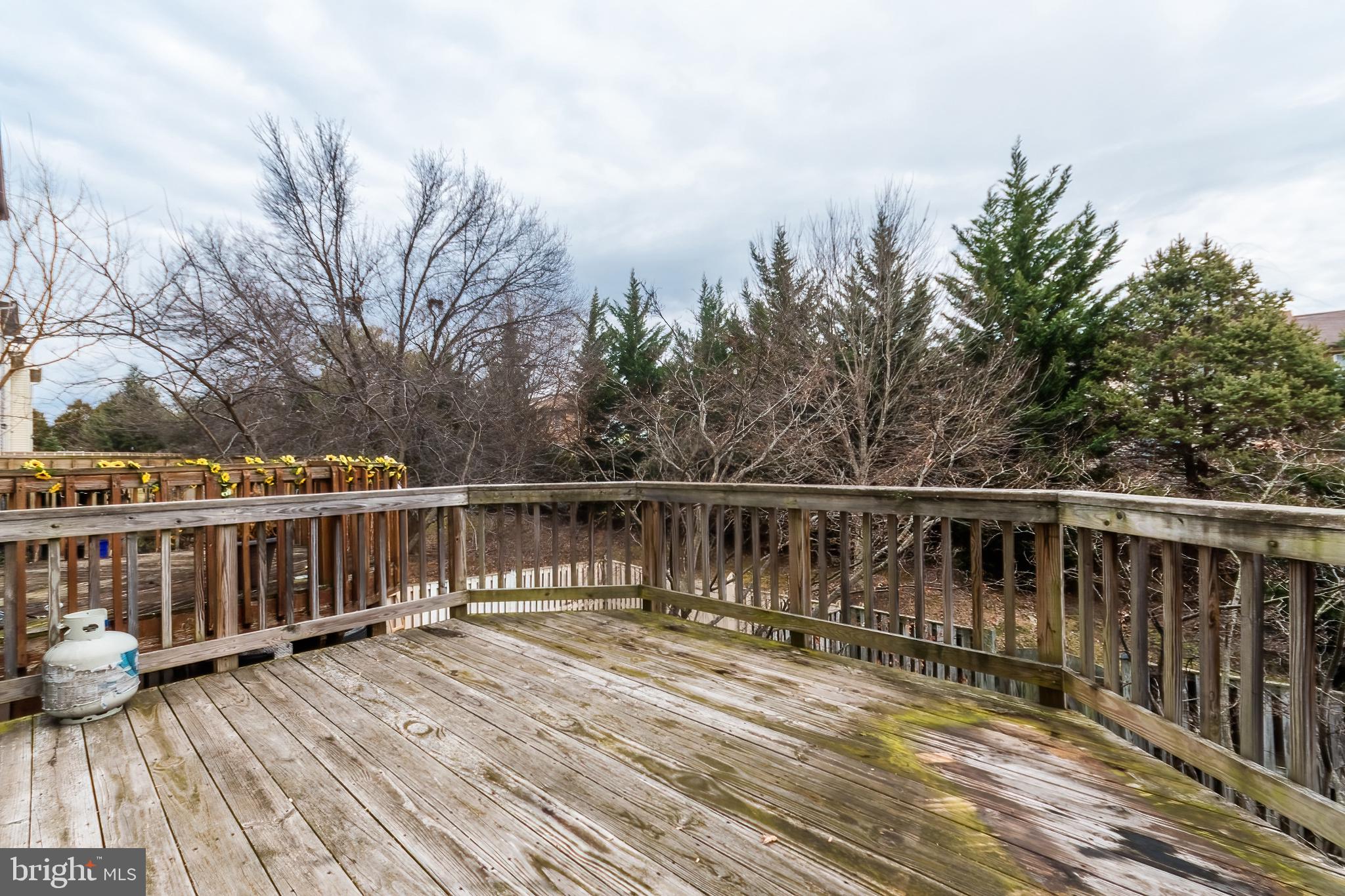 THE ABBEY - Residential