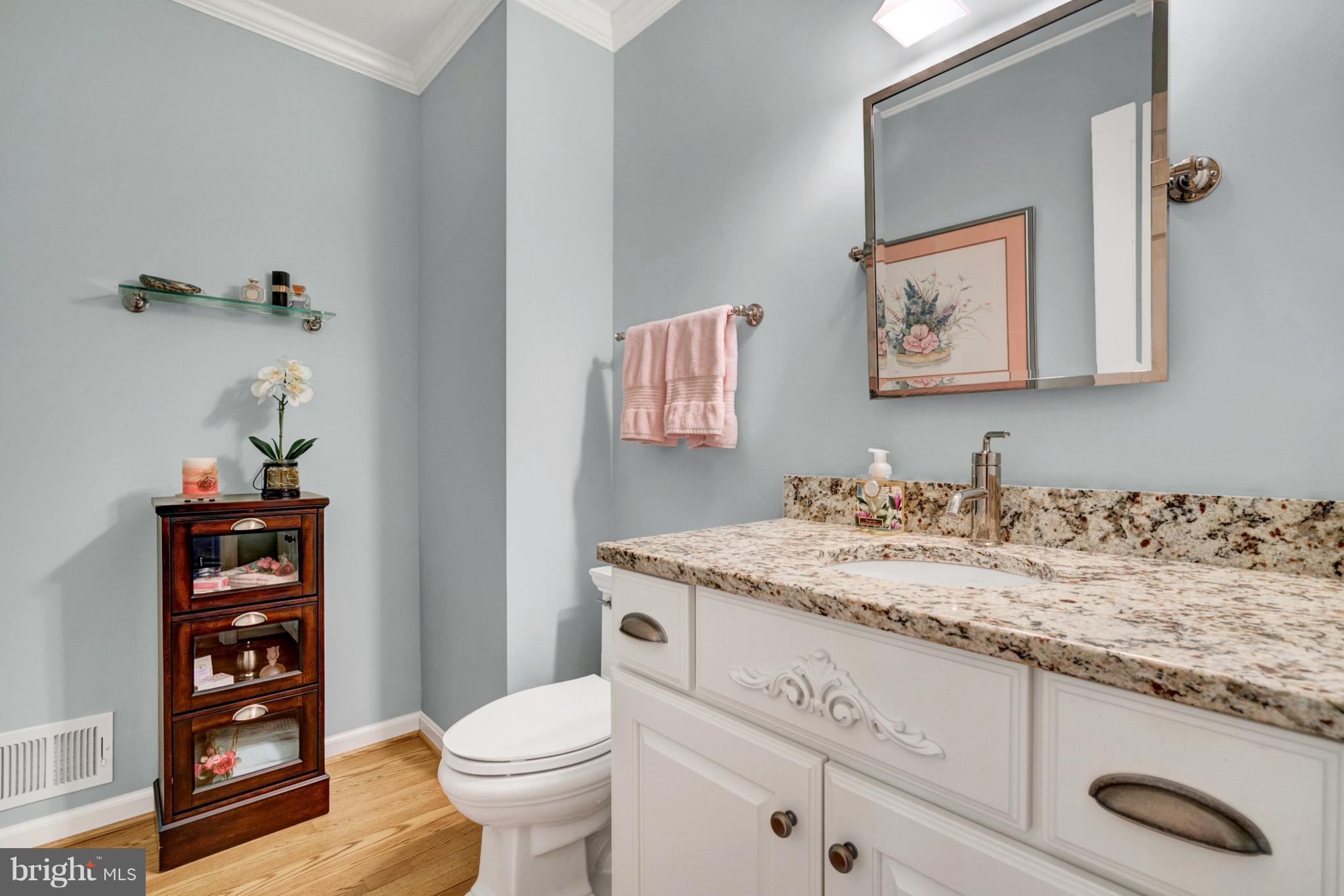 SOMERSET AT SOUTH RUN - Residential