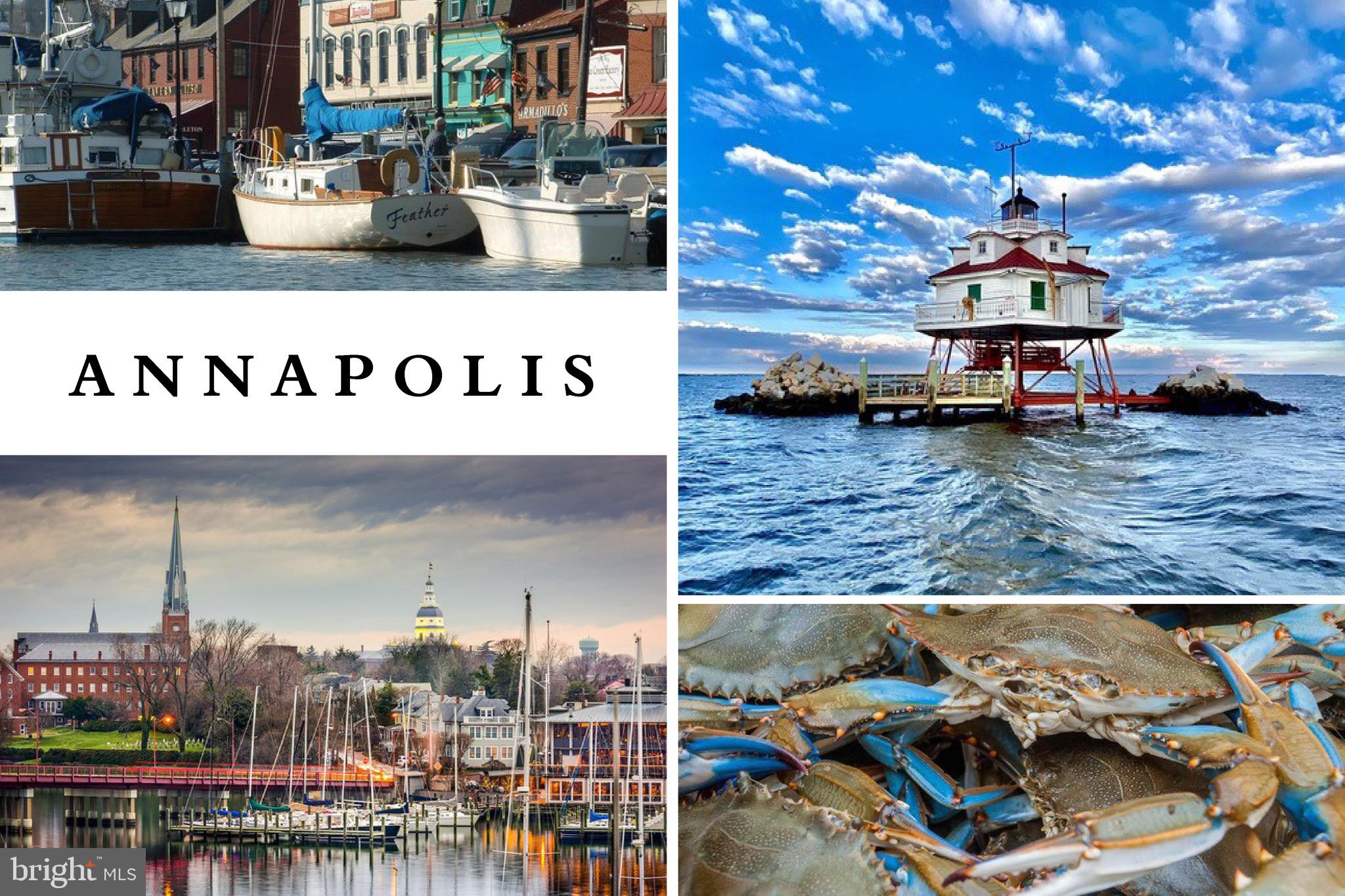 SHIPLEYS CHOICE - Residential