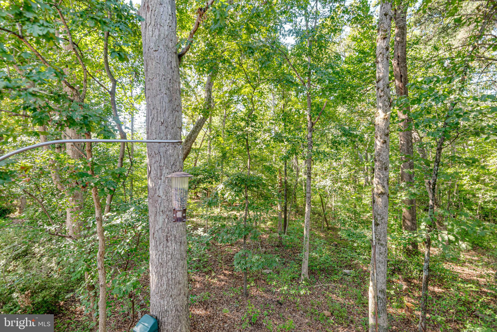 SHIPLEYS CHOICE - Residential