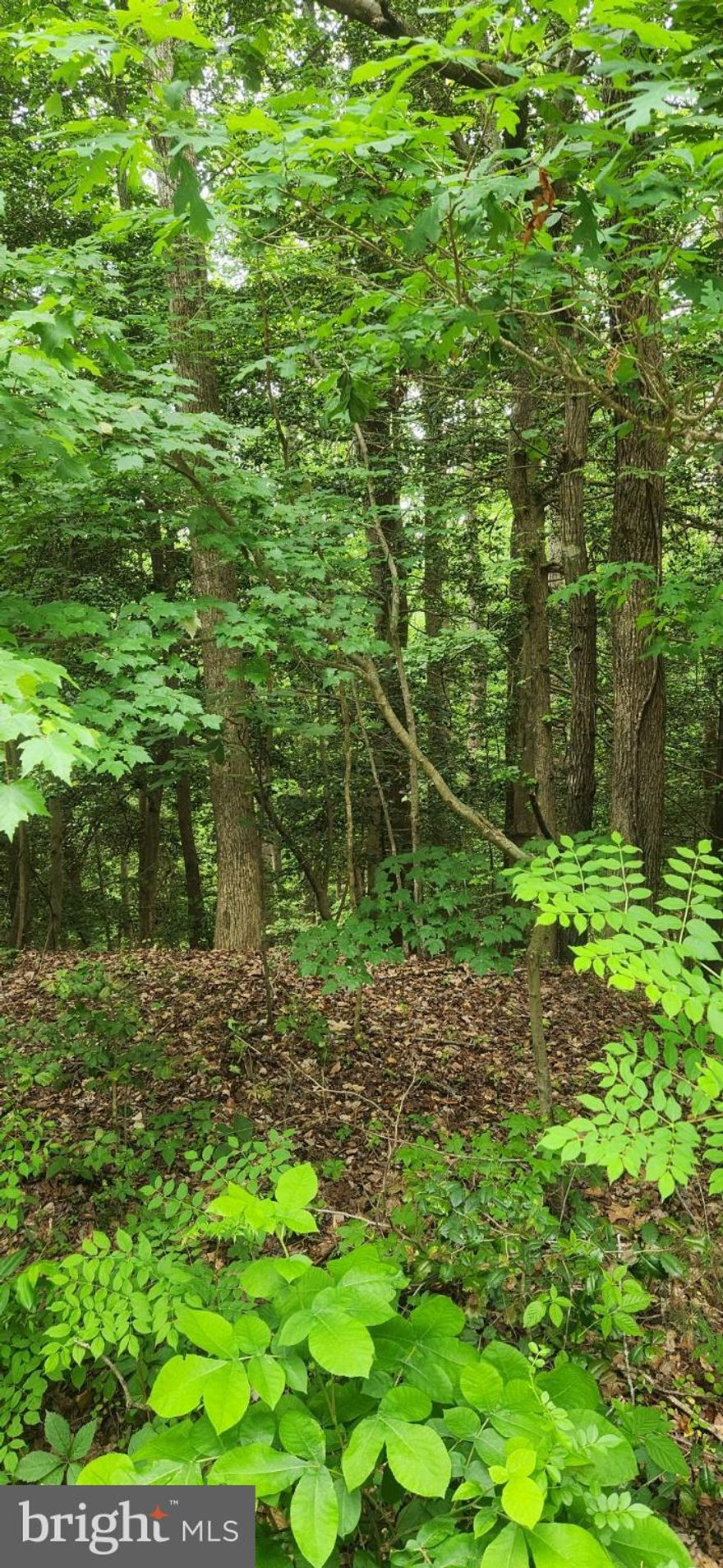 Now is your chance to own a piece of property in the sought after Stratford Harbour Community! Amenities include a club house, lake access beach, river access beach, community pool, playground, picnic area and pickleball court. All land studies will be the responsibility of the purchaser. Don't miss out on this beauty!