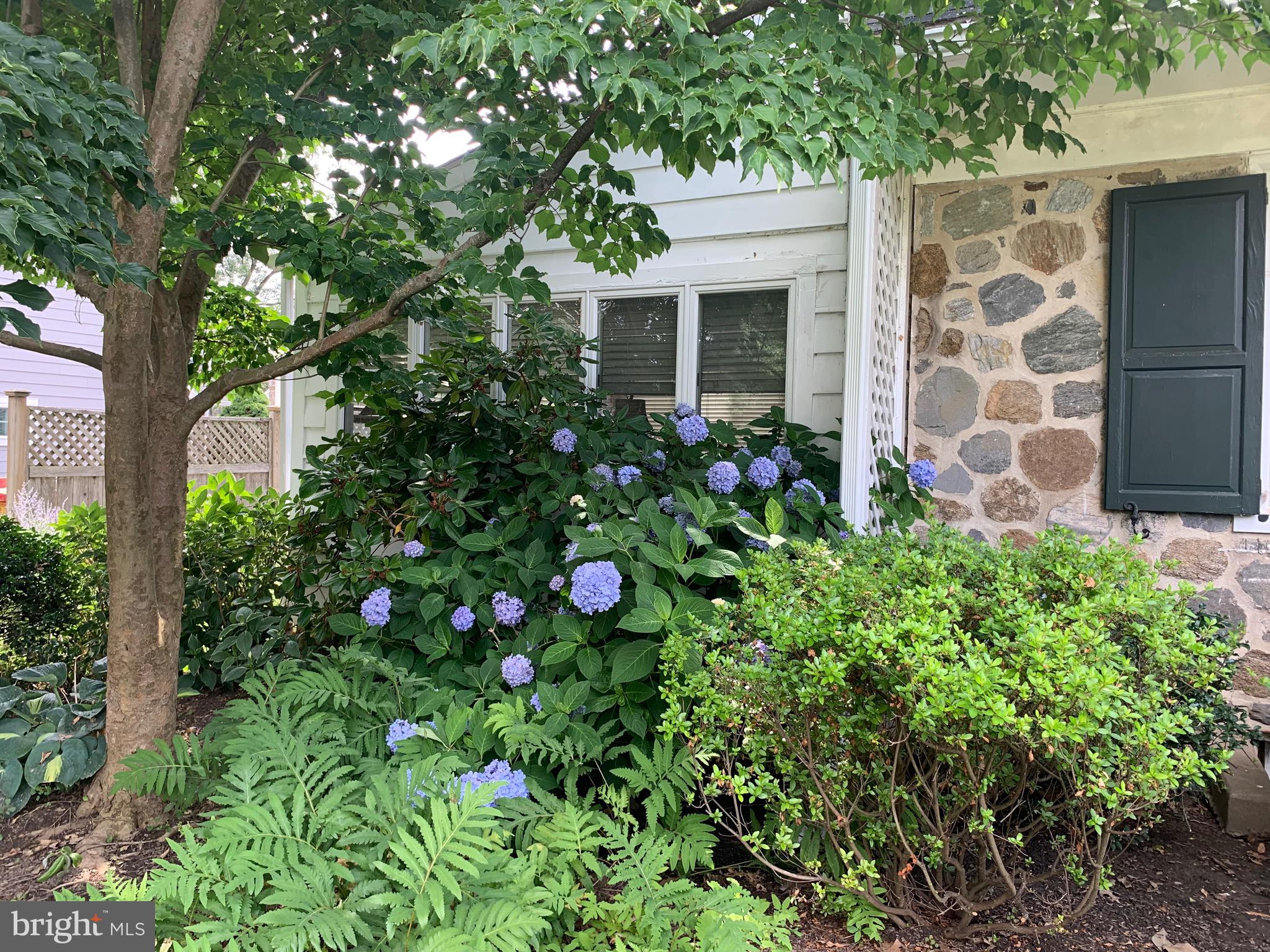 SHORTRIDGE - Residential